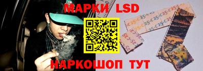 гидропоника Дубна