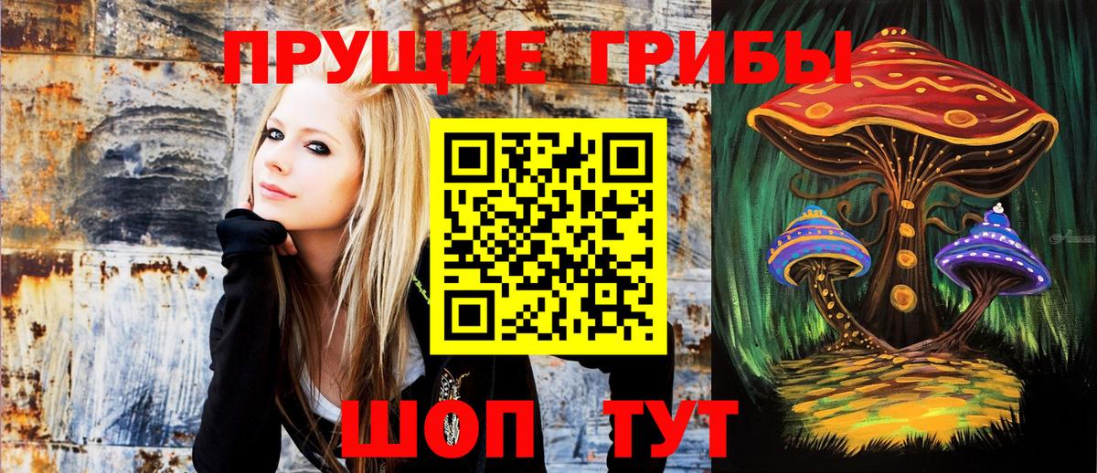Псилоцибиновые грибы Magic Shrooms  как найти   Волгоград  Вход с VPN  Галлюциногенные грибы Psilocybe 
