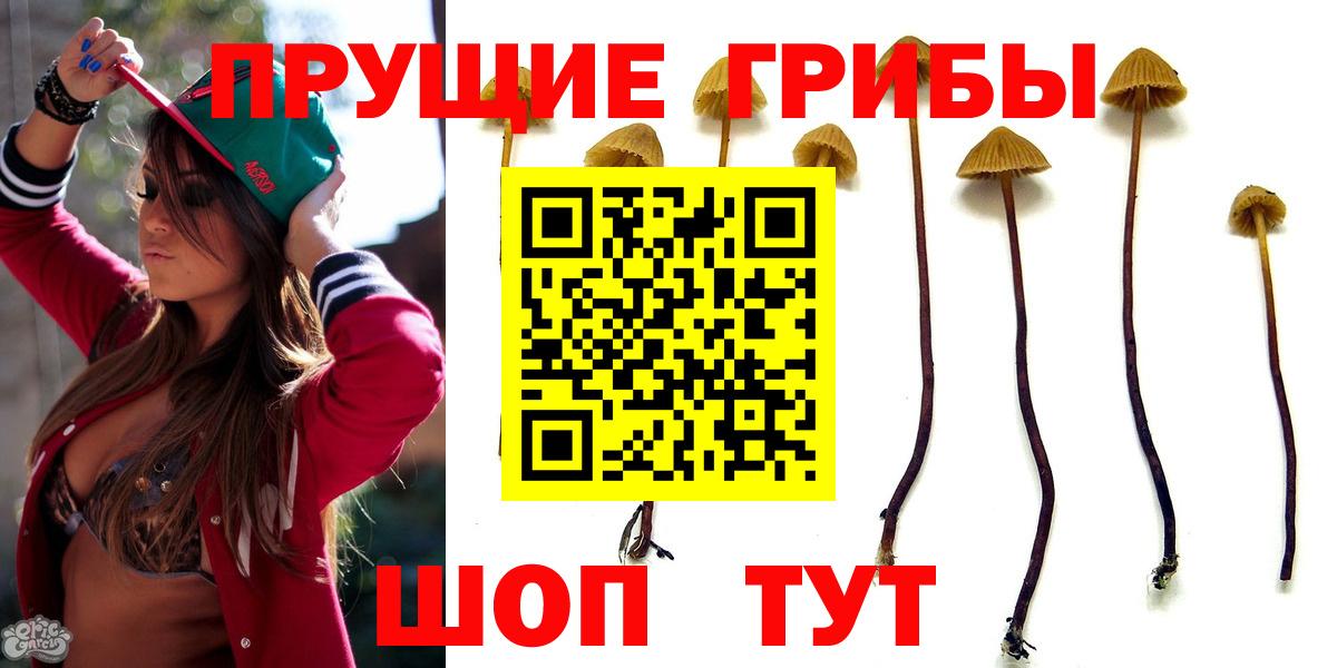 Галлюциногенные грибы мицелий Волгоград